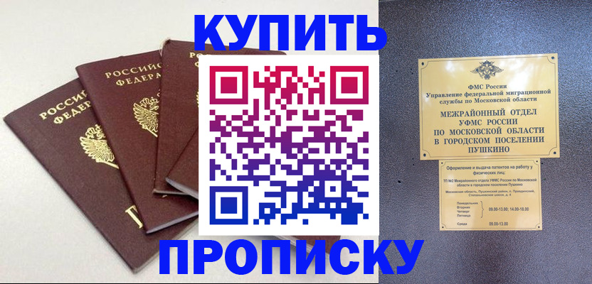 временная регистрация собственник в Шали